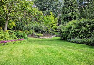 Optimiser l'expérience du jardin à Villeneuve-les-Beziers